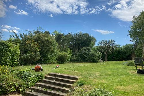 View of garden with tools