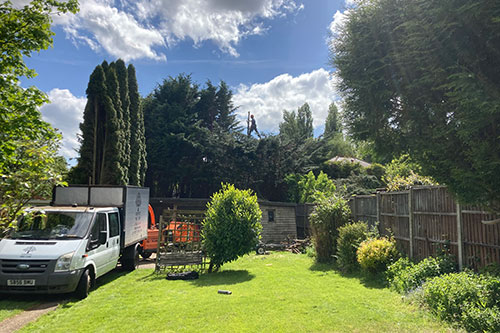 Aesthetic Tree Care van in garden